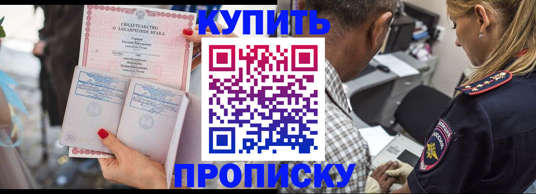 прописка законно в Черняховске